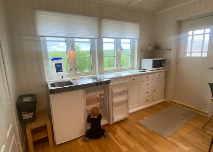 Sara's Cabins-hytter Апартаменты Каутокейно